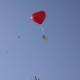 99 Red Helium Balloons